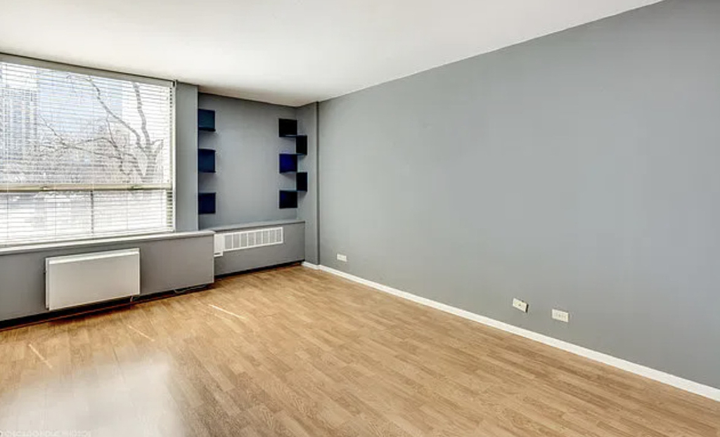 1360 N Sandburg Terrace - Photo 8