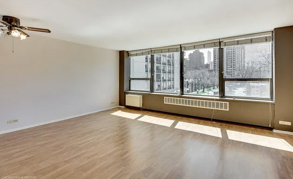 1360 N Sandburg Terrace - Photo 2