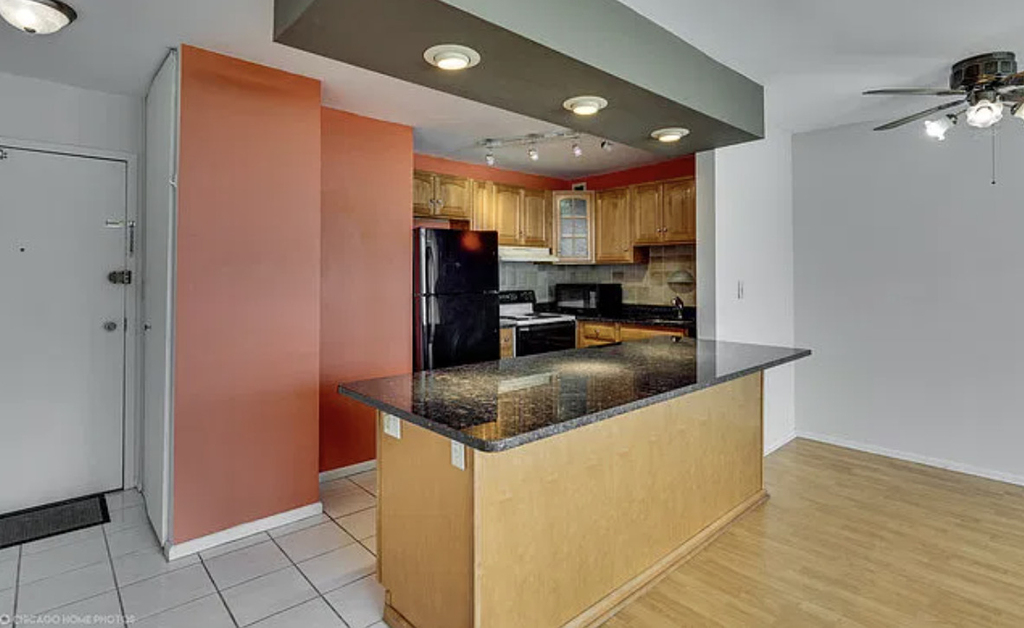 1360 N Sandburg Terrace - Photo 6