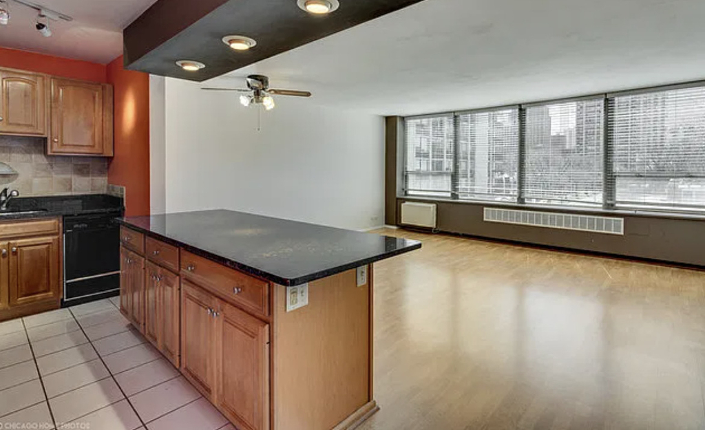 1360 N Sandburg Terrace - Photo 3