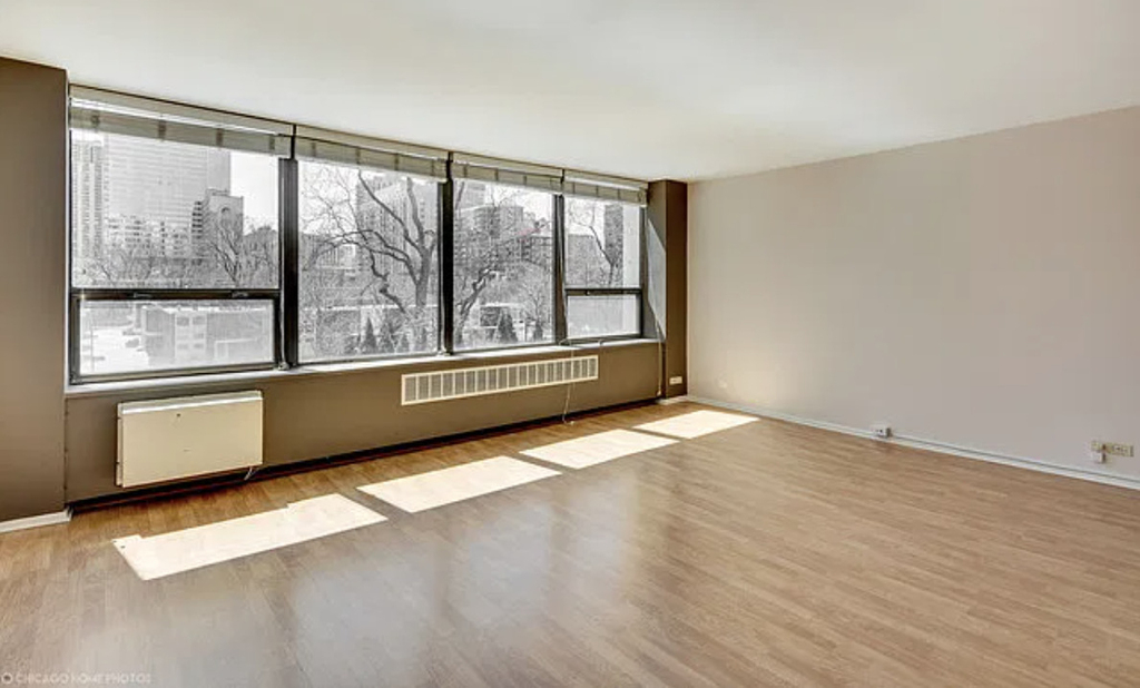 1360 N Sandburg Terrace - Photo 1