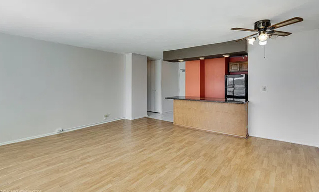 1360 N Sandburg Terrace - Photo 5