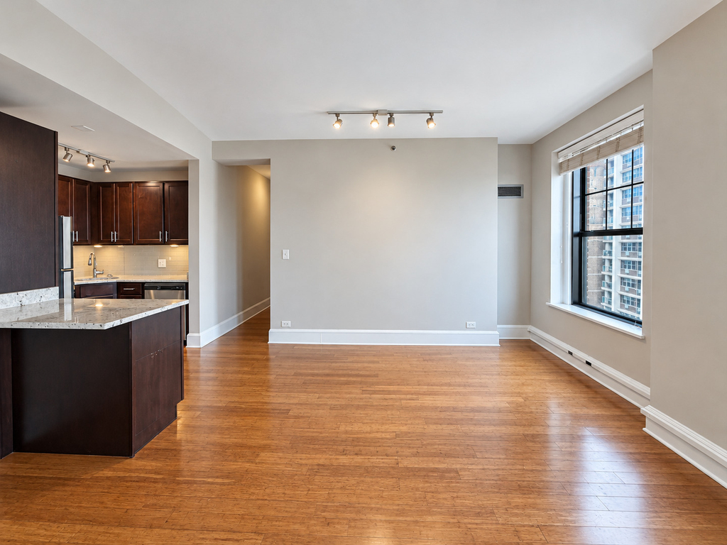 3170 N Sheridan Road - Photo 9