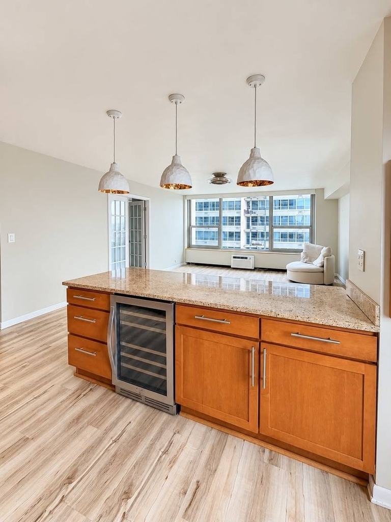 3600 N Lake Shore Drive - Photo 9