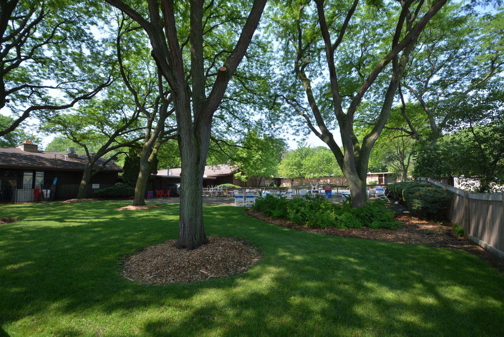 5880 Forest View Road - Photo 11