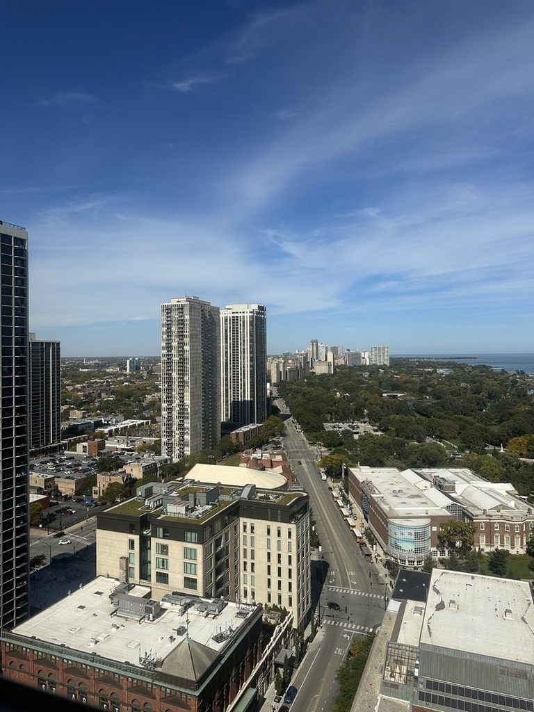 70 W Burton Place - Photo 13