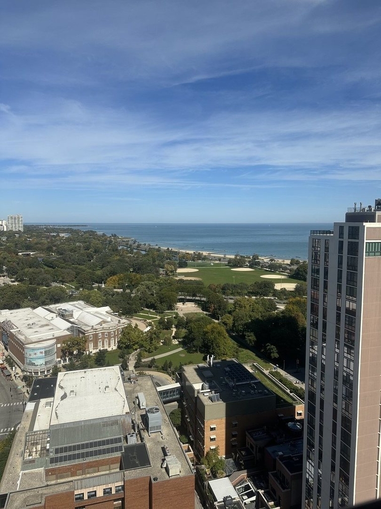 70 W Burton Place - Photo 12