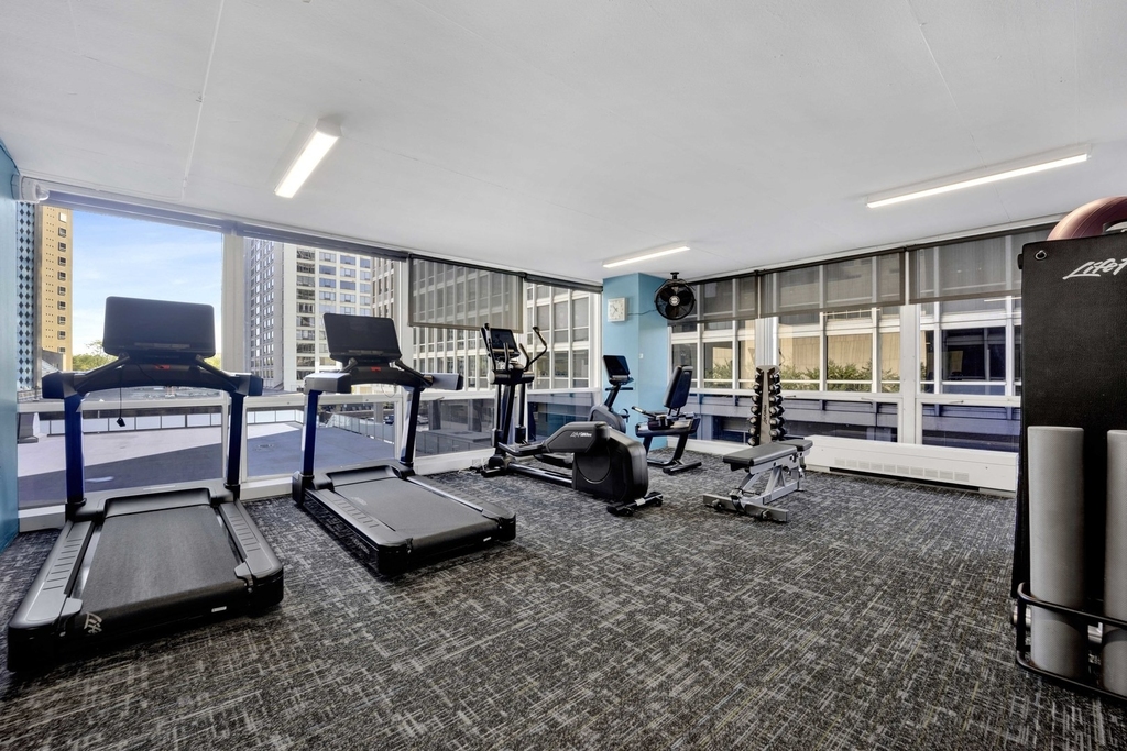 340 W Diversey Parkway - Photo 27