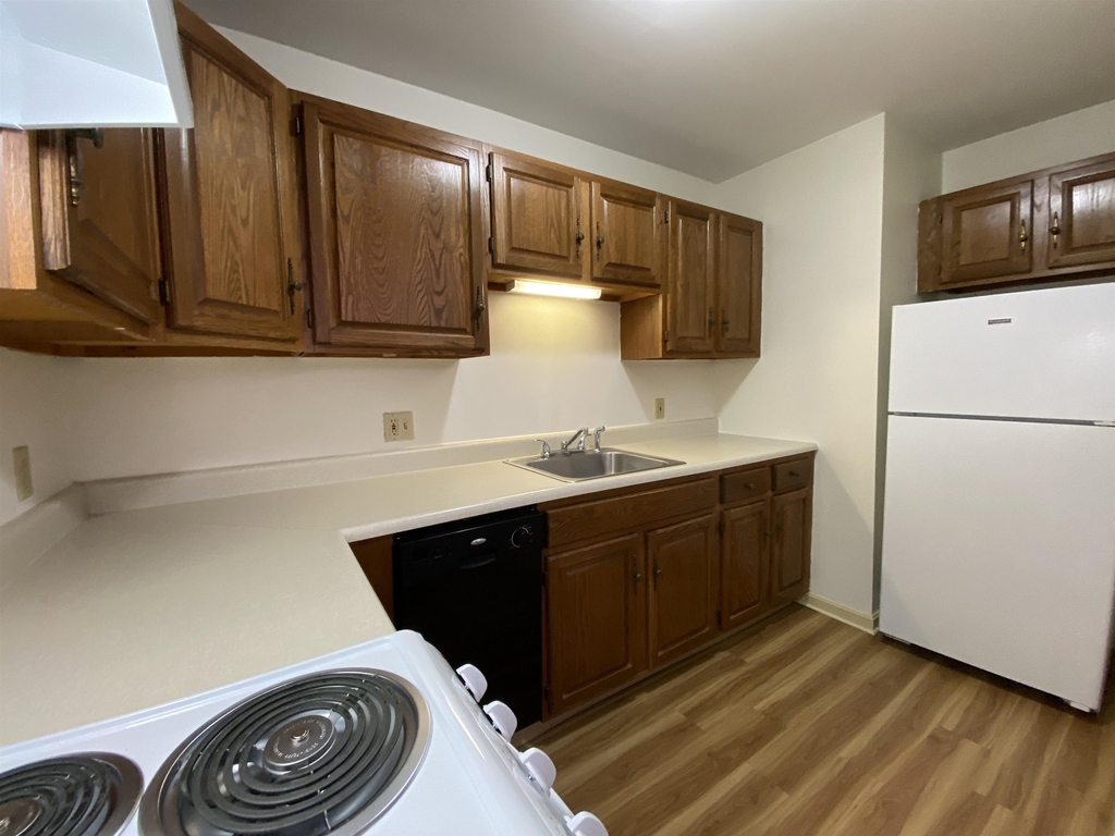 124 Orange - Photo 8