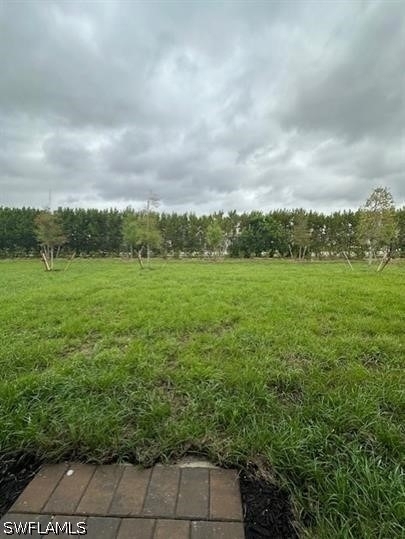 16632 Elkhorn Coral Drive - Photo 19