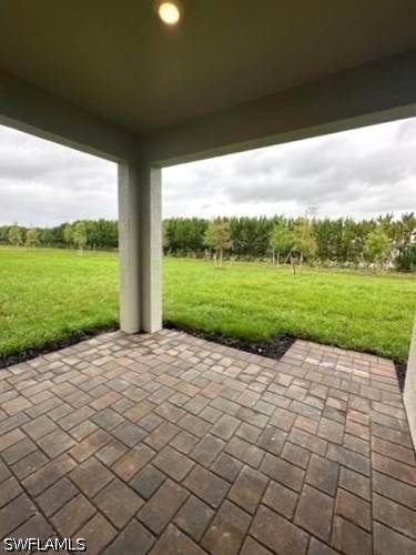 16632 Elkhorn Coral Drive - Photo 18