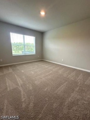 16632 Elkhorn Coral Drive - Photo 5
