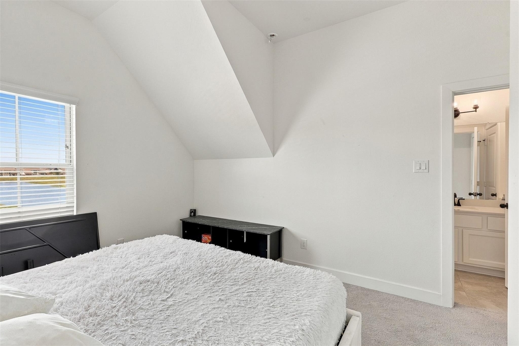 2922 Opal Ivory Way - Photo 27