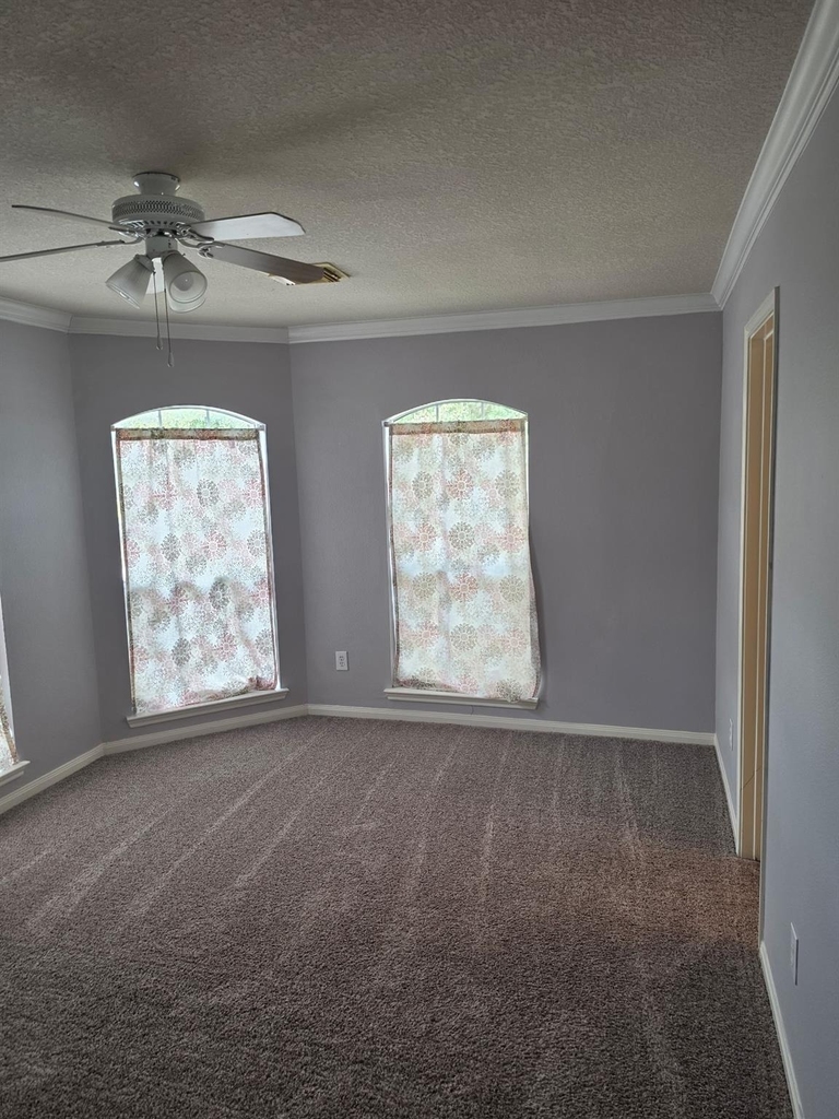 27114 Sunset Pines Drive - Photo 8