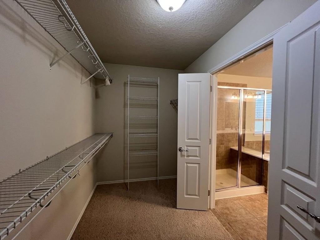 24402 Haywards Crossing Lane - Photo 23