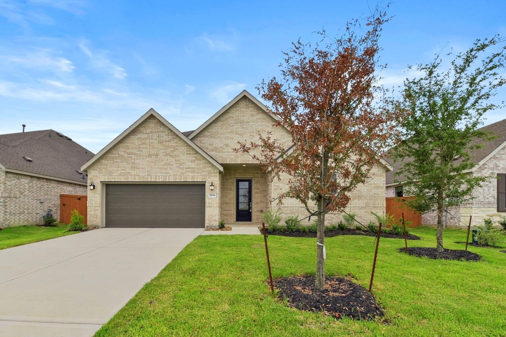 2934 Palm Branch Dr - Photo 2