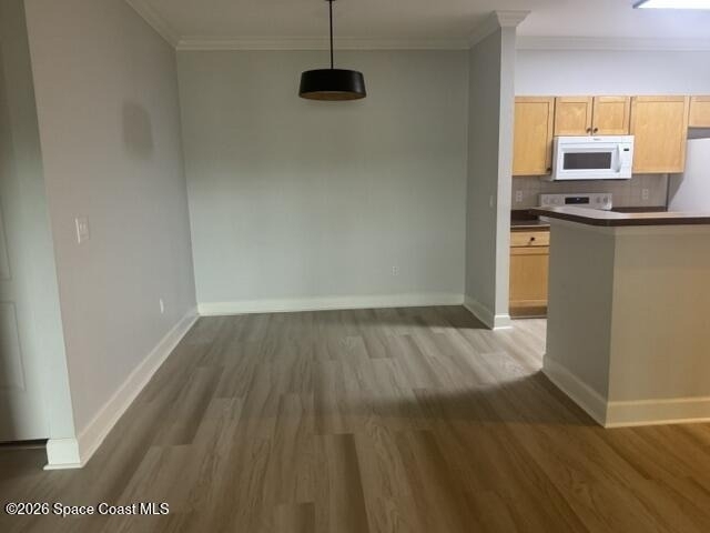 6451 Borasco Drive - Photo 5