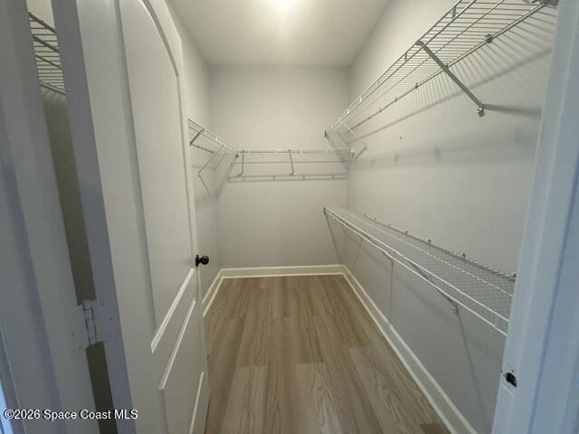 6451 Borasco Drive - Photo 16