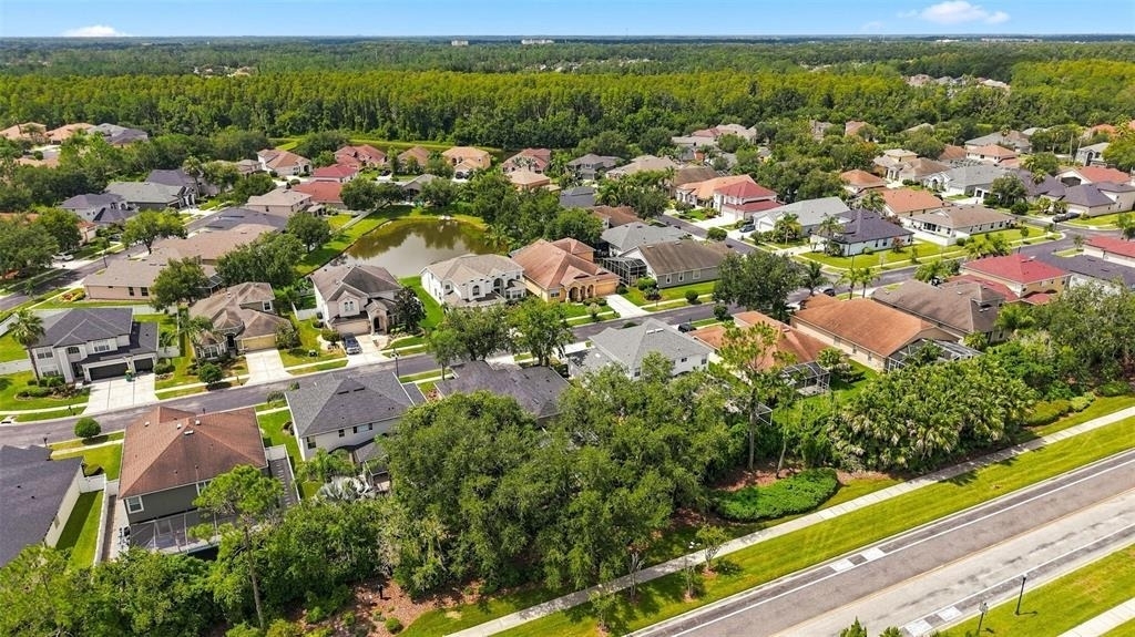 27417 Silver Thatch Drive - Photo 8