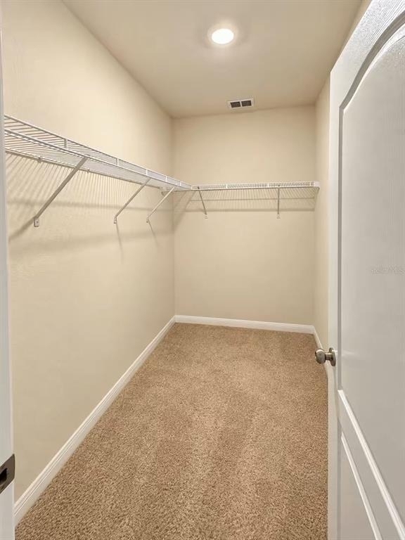 30346 Armenia Road - Photo 5
