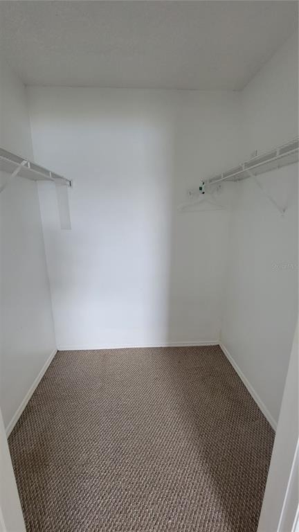 13828 Timberbrooke Drive - Photo 12