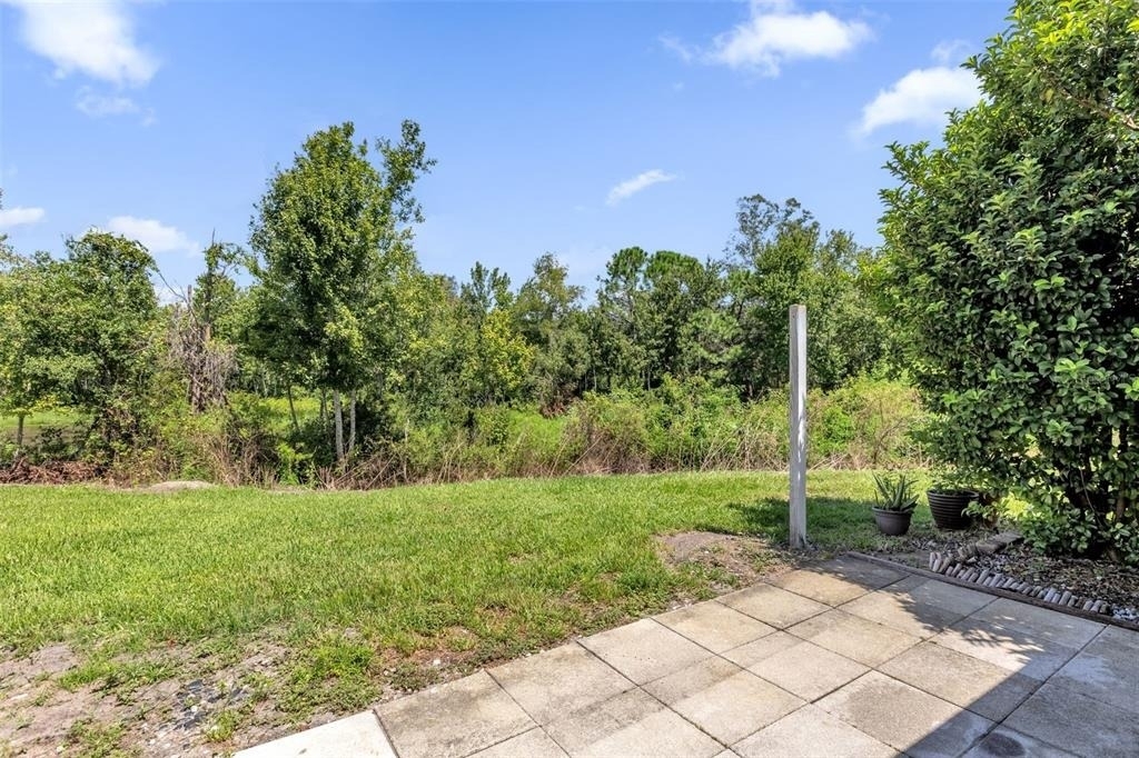 2037 Waterleaf Street - Photo 35