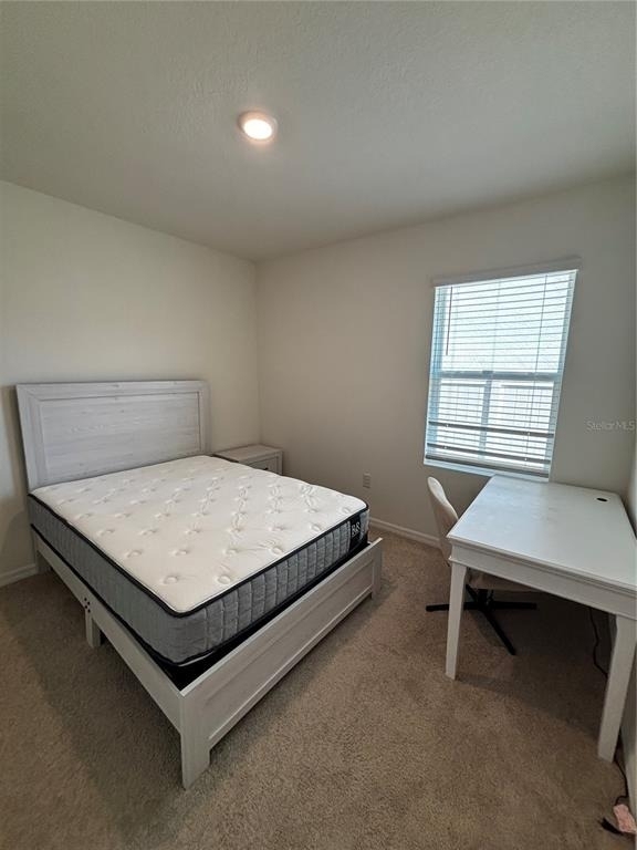 3735 Alder Bark Lane - Photo 7