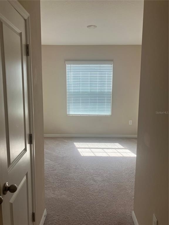 6548 Calypso Coral Lane - Photo 11