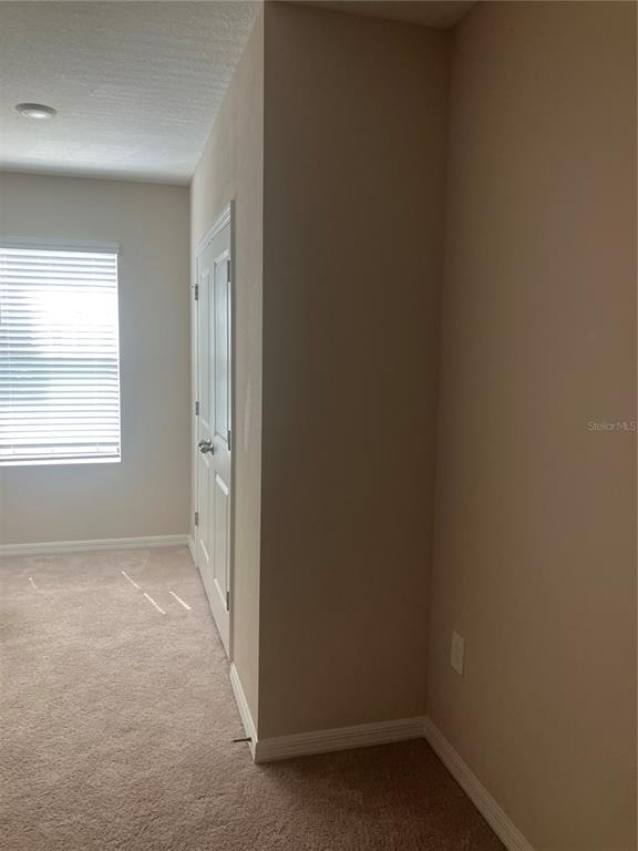 6548 Calypso Coral Lane - Photo 10