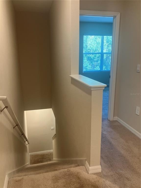 6548 Calypso Coral Lane - Photo 12