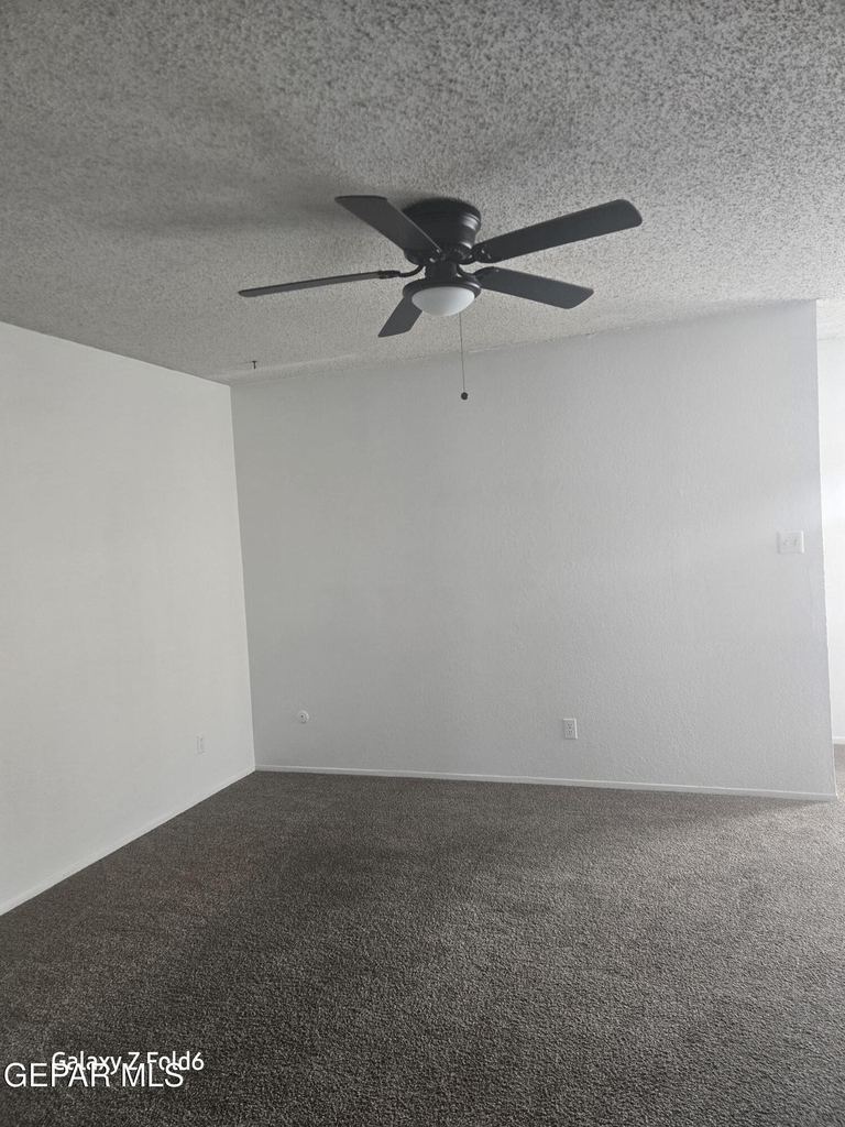 11209 Campestre Lane - Photo 12