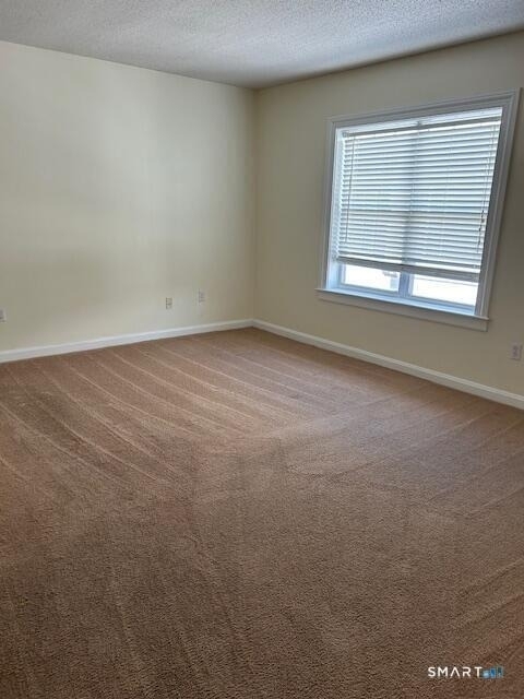 488 Bedford Street - Photo 19
