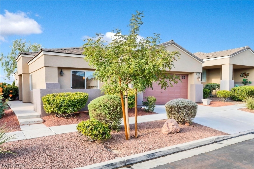 10529 India Hawthorn Avenue - Photo 1