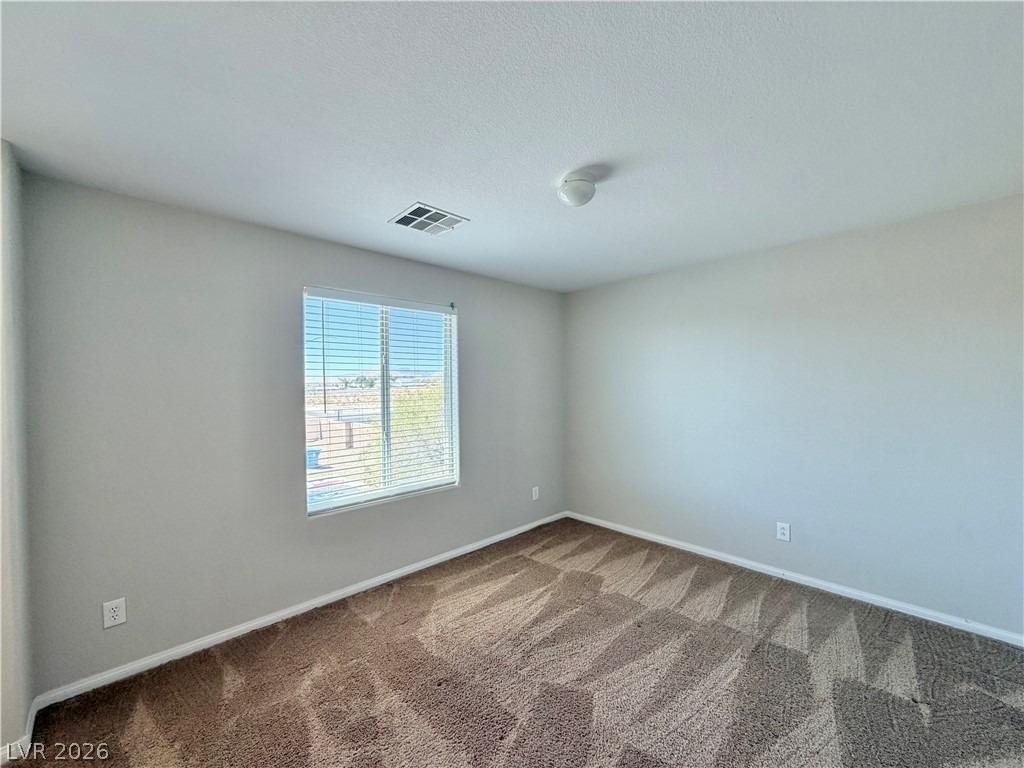 6435 Sean Creek Street - Photo 11