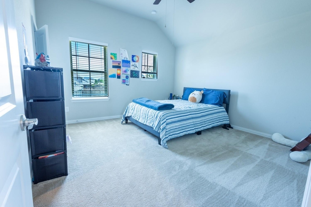 2541 Canary Grass Lane - Photo 22
