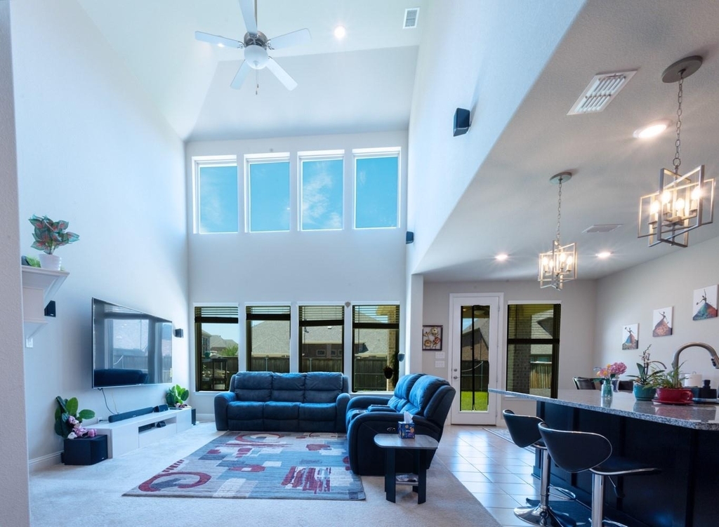 2541 Canary Grass Lane - Photo 2