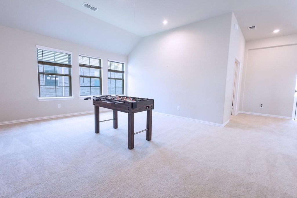 2541 Canary Grass Lane - Photo 17