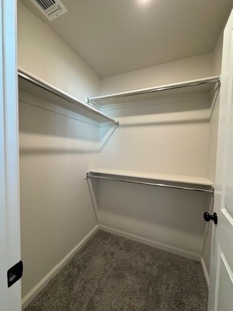 17604 Knox Farm Road - Photo 29