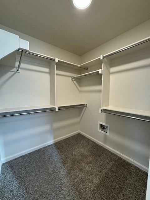 17604 Knox Farm Road - Photo 7