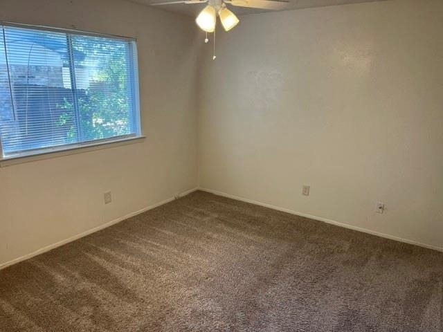 1236 Neptune Drive - Photo 8