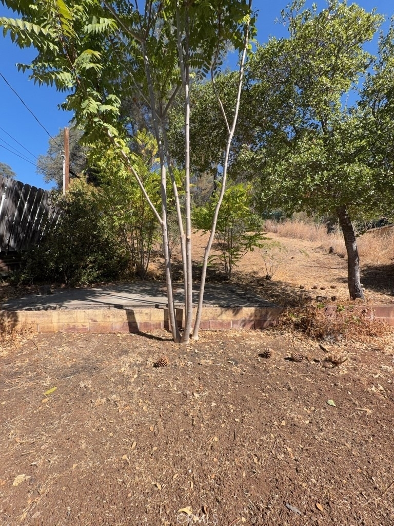 9198 Glenhaven Drive - Photo 15