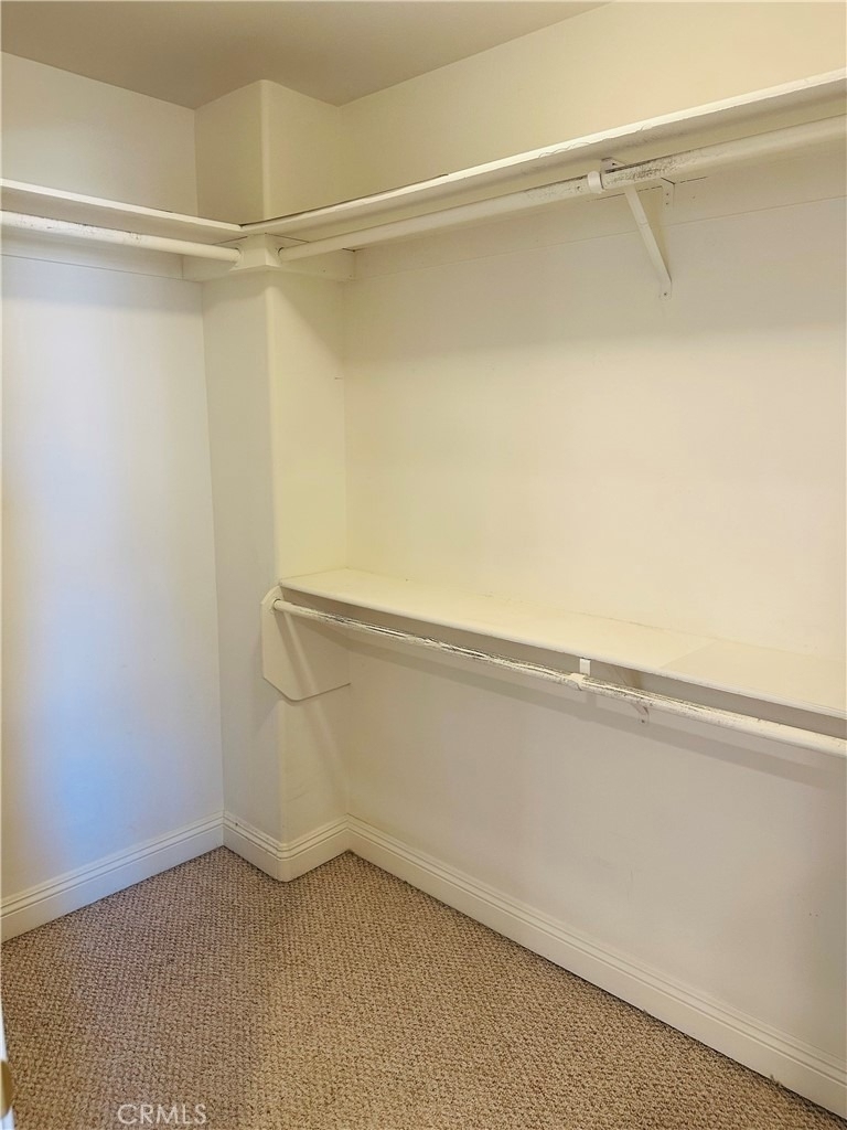 705 Muscatel - Photo 11