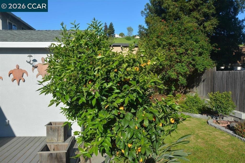 3320 Blythe Dr - Photo 11