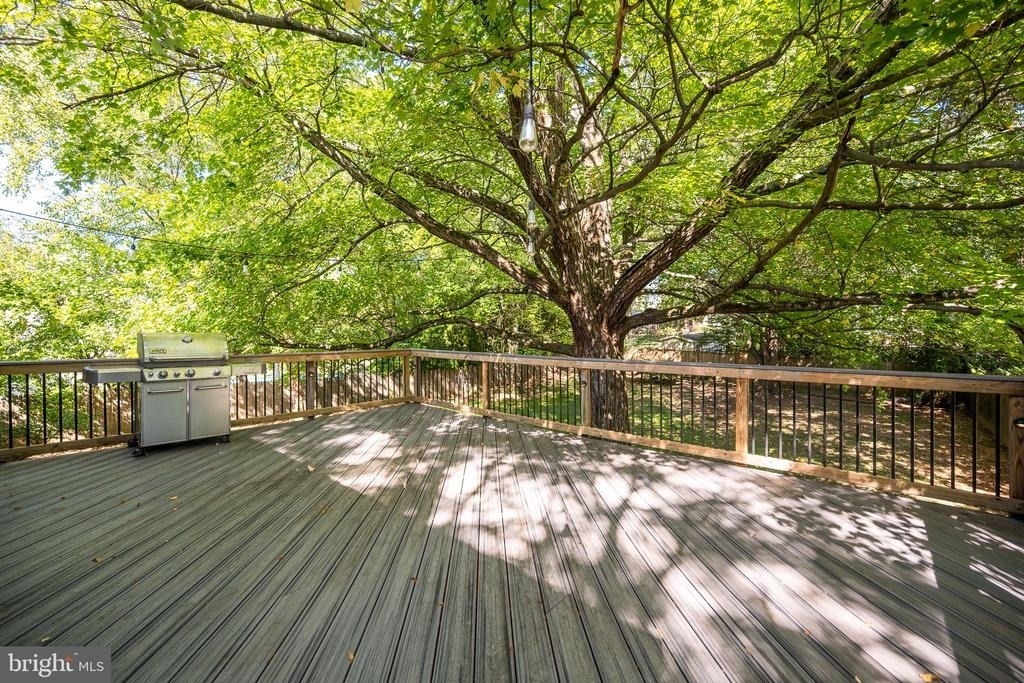 1317 Macbeth Street - Photo 12
