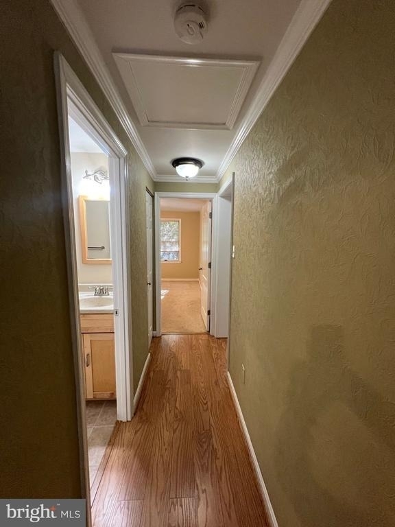 5518 Old Crain Highway - Photo 10