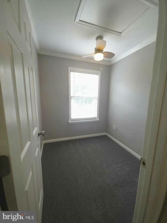 3218 Guilford Drive - Photo 43