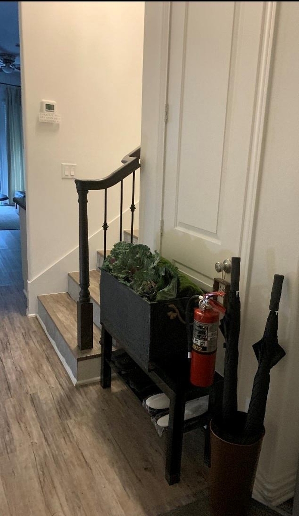 3223 Real St - Photo 19