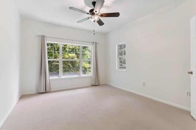 1704 Frederica Road - Photo 10