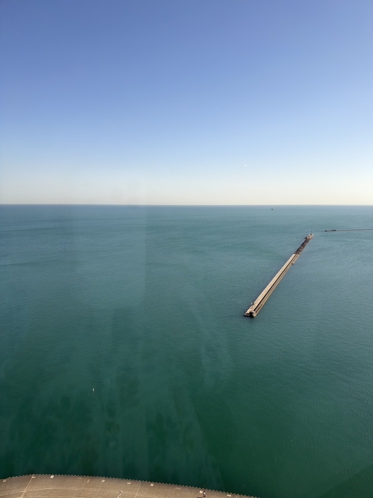 990 N Lake Shore Drive - Photo 7