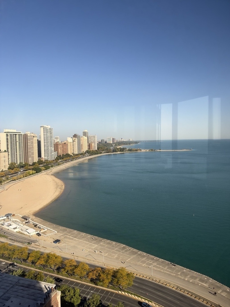 990 N Lake Shore Drive - Photo 6